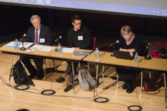 VeithM_CARFMS2016WPG-204