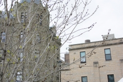 VeithM_CARFMS2016WPG-258