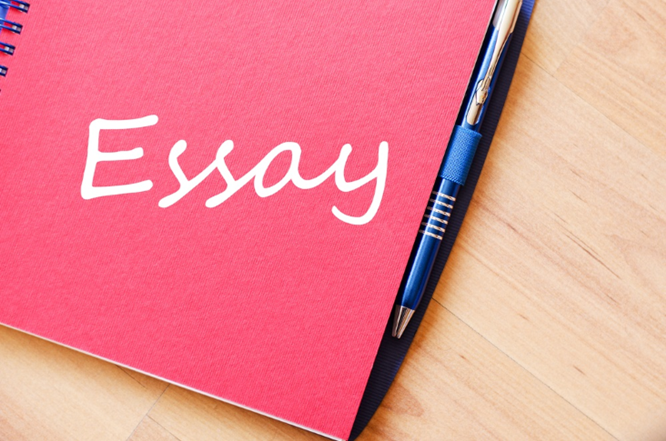 2020 Essay Contest Results