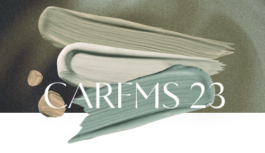 CARFMS23 Call for Papers