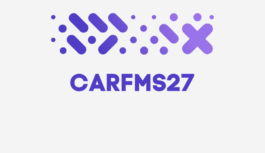 CARFMS27: Call for Papers